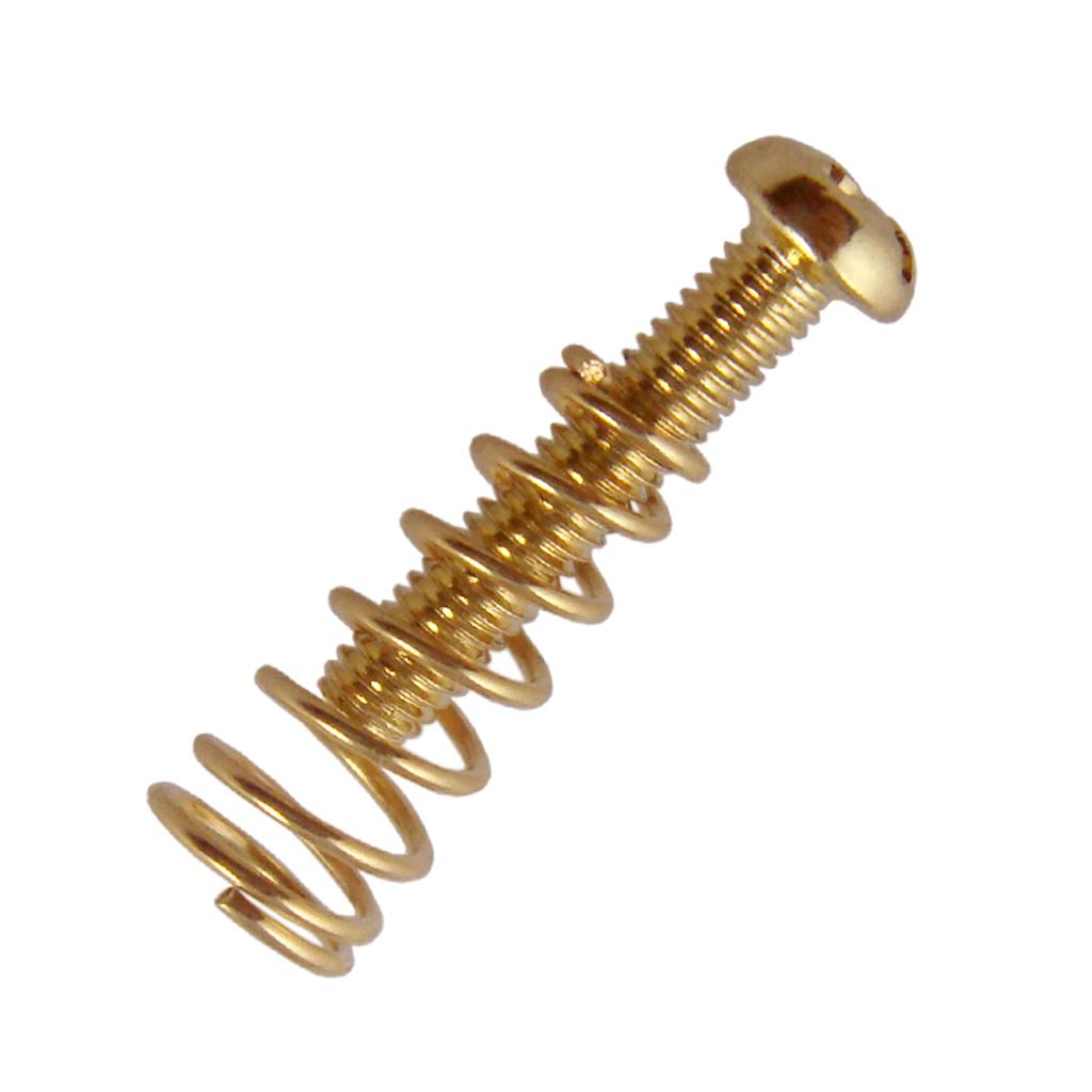 สกรูยึดสะพานสายกีตาร์ สปริงแบบ - Musical Instrument Repair บทวิจารณ์และราคา